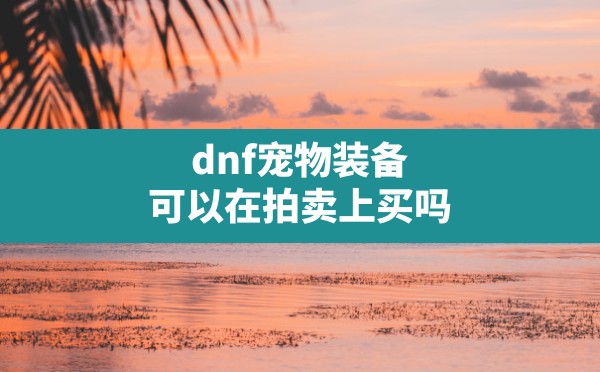 dnf宠物装备可以在拍卖上买吗(dnf超世界机制攻略最新) - 六五手游网