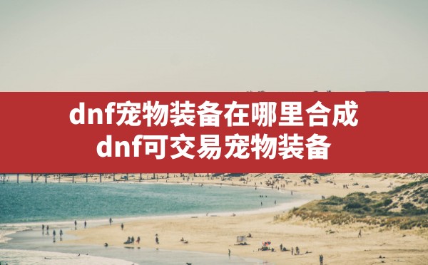 dnf宠物装备在哪里合成,dnf可交易宠物装备 - 六五手游网