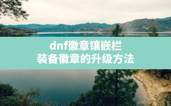 dnf徽章镶嵌栏(装备徽章的升级方法) - 六五手游网