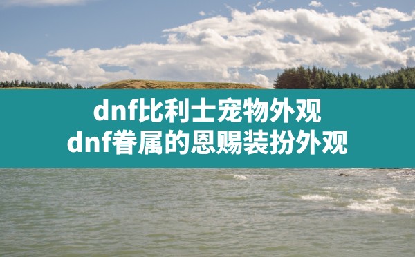 dnf比利士宠物外观,dnf眷属的恩赐装扮外观 - 六五手游网