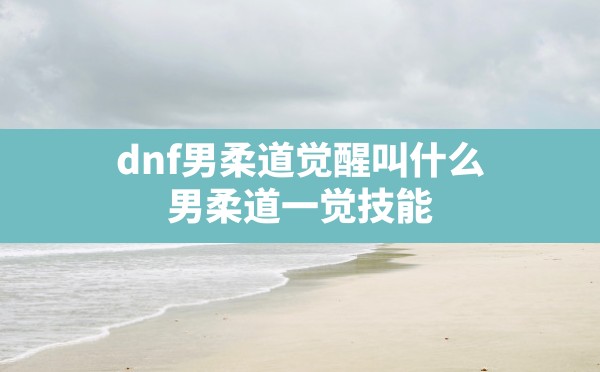 dnf男柔道觉醒叫什么,男柔道一觉技能 - 六五手游网