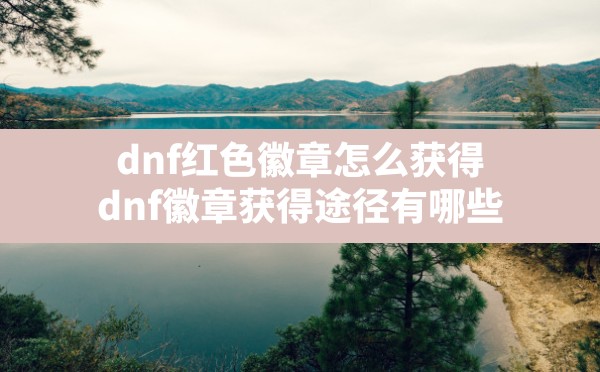 dnf红色徽章怎么获得(dnf徽章获得途径有哪些) - 六五手游网