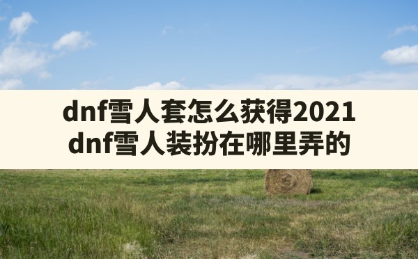 dnf雪人套怎么获得2021(dnf雪人装扮在哪里弄的) - 六五手游网