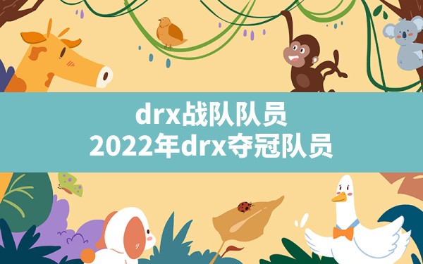 drx战队队员,2022年drx夺冠队员 - 六五手游网