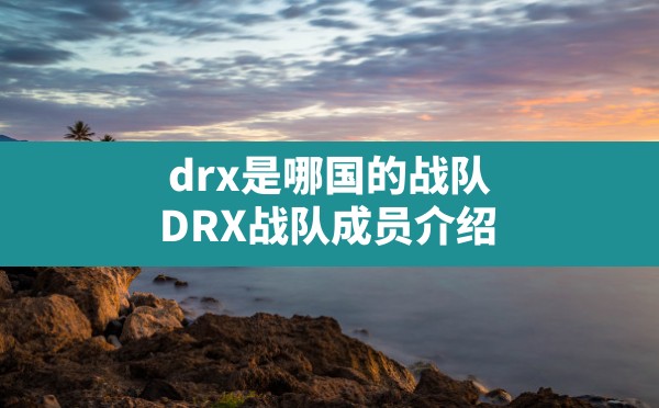 drx是哪国的战队(DRX战队成员介绍) - 六五手游网