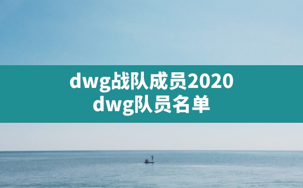 dwg战队成员2020(dwg队员名单) - 六五手游网