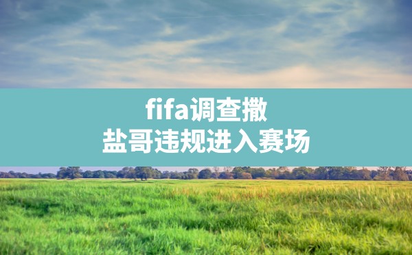 fifa调查撒盐哥违规进入赛场 - 六五手游网