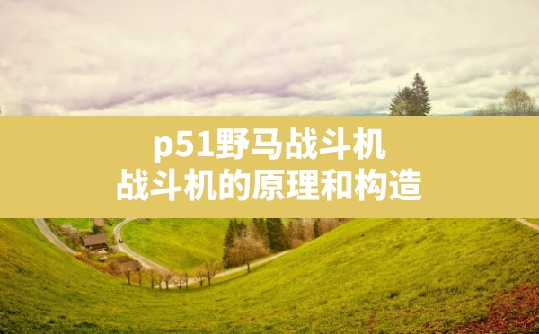 p51野马战斗机,战斗机的原理和构造 - 六五手游网