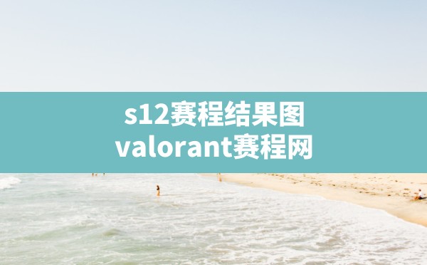 s12赛程结果图(valorant赛程网) - 六五手游网