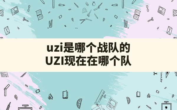 uzi是哪个战队的,UZI现在在哪个队 - 六五手游网