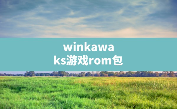 winkawaks游戏rom包,街机游戏roms大合集 - 六五手游网