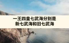 一王四皇七武海分别是,新七武海和旧七武海