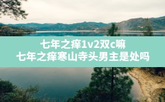 七年之痒1v2双c嘛(七年之痒寒山寺头男主是处吗)