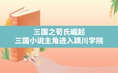 三国之荀氏崛起,三国小说主角进入颍川学院