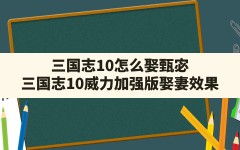 三国志10怎么娶甄宓,三国志10威力加强版娶妻效果