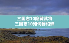 三国志10隐藏武将,三国志10如何娶貂蝉