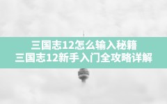 三国志12怎么输入秘籍,三国志12新手入门全攻略详解