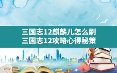 三国志12麒麟儿怎么刷(三国志12攻略心得秘策)