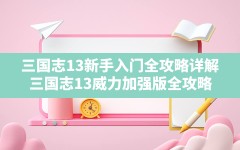 三国志13新手入门全攻略详解,三国志13威力加强版全攻略