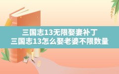 三国志13无限娶妻补丁,三国志13怎么娶老婆不限数量