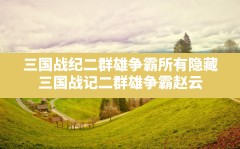 三国战纪二群雄争霸所有隐藏,三国战记二群雄争霸赵云