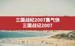 三国战纪2007集气快,三国战记2007集气快版游戏特色