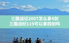 三国战记2007怎么拿4剑,三国战纪119可以拿四剑吗