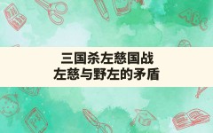 三国杀左慈国战,左慈与野左的矛盾