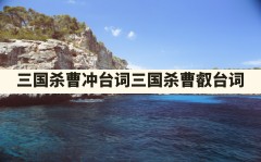 三国杀曹冲台词,三国杀曹叡台词