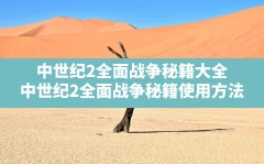 中世纪2全面战争秘籍大全,中世纪2:全面战争秘籍使用方法