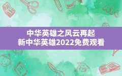 中华英雄之风云再起,新中华英雄2022免费观看