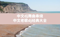 中文dj舞曲串烧(中文老歌dj经典大全)