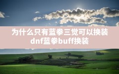 为什么只有蓝拳三觉可以换装(dnf蓝拳buff换装)