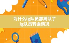 为什么ig队员都离队了(ig队员转会情况)