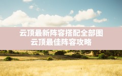 云顶最新阵容搭配全部图,云顶最佳阵容攻略