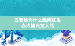 五老星为什么跪拜红发,赤犬被天龙人骂