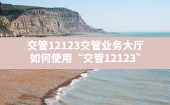 交管12123交管业务大厅,如何使用“交管12123”