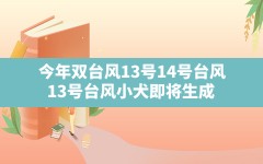 今年双台风13号14号台风,13号台风小犬即将生成