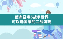 使命召唤5战争世界,可以选国家的二战游戏