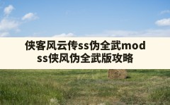 侠客风云传ss伪全武mod,ss侠风伪全武版攻略