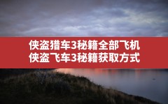 侠盗猎车3秘籍全部飞机,侠盗飞车3秘籍获取方式