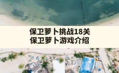 保卫萝卜挑战18关,保卫萝卜游戏介绍