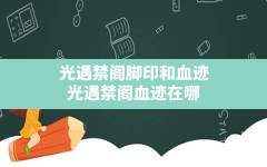 光遇禁阁脚印和血迹,光遇禁阁血迹在哪