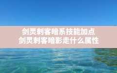 剑灵刺客暗系技能加点(剑灵刺客暗影走什么属性)