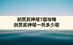 剑灵武神塔7层攻略,剑灵武神塔一共多少层