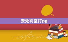 去处罚室打pg