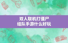 双人联机打僵尸,组队手游什么好玩