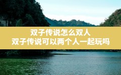 双子传说怎么双人,双子传说可以两个人一起玩吗