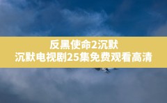 反黑使命2沉默,沉默电视剧25集免费观看高清