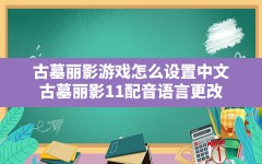 古墓丽影游戏怎么设置中文,古墓丽影11配音语言更改